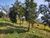 Sítio, 6 quartos, 9 hectares - Foto 3