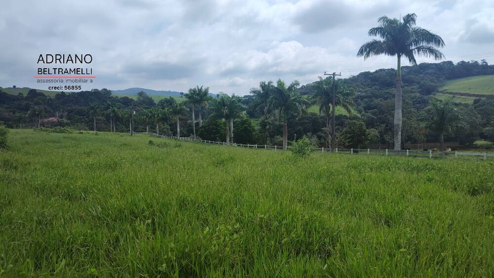 Terreno, 30 hectares - Foto 3