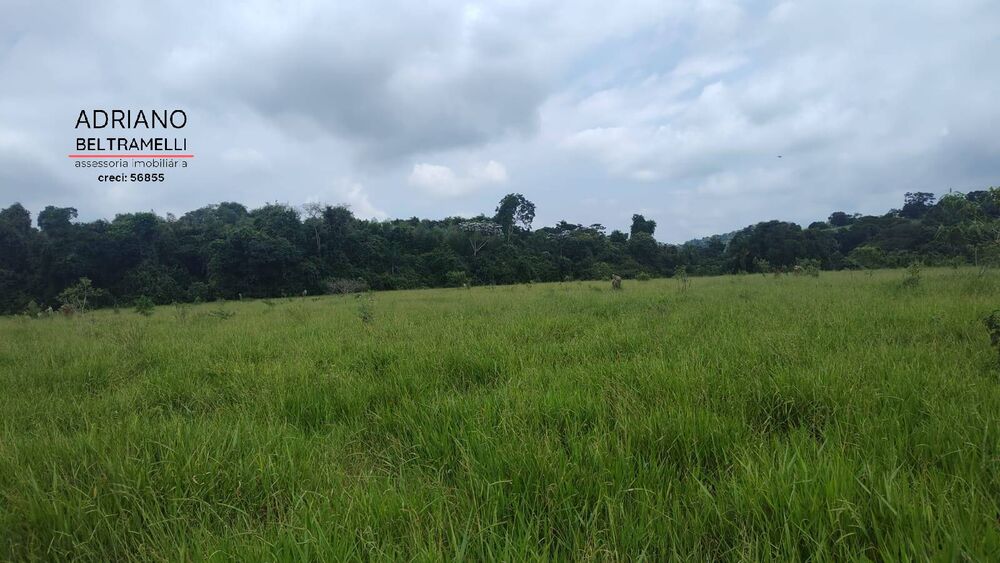 Terreno, 30 hectares - Foto 6