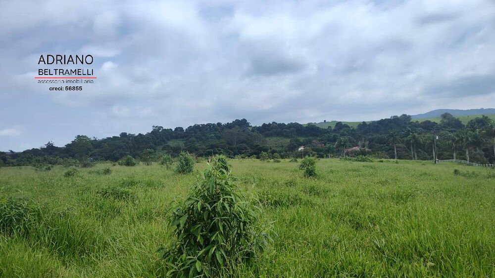 Terreno, 30 hectares - Foto 4