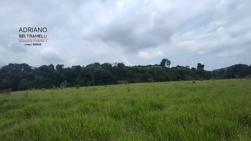 Terreno, 30 hectares - Foto 2