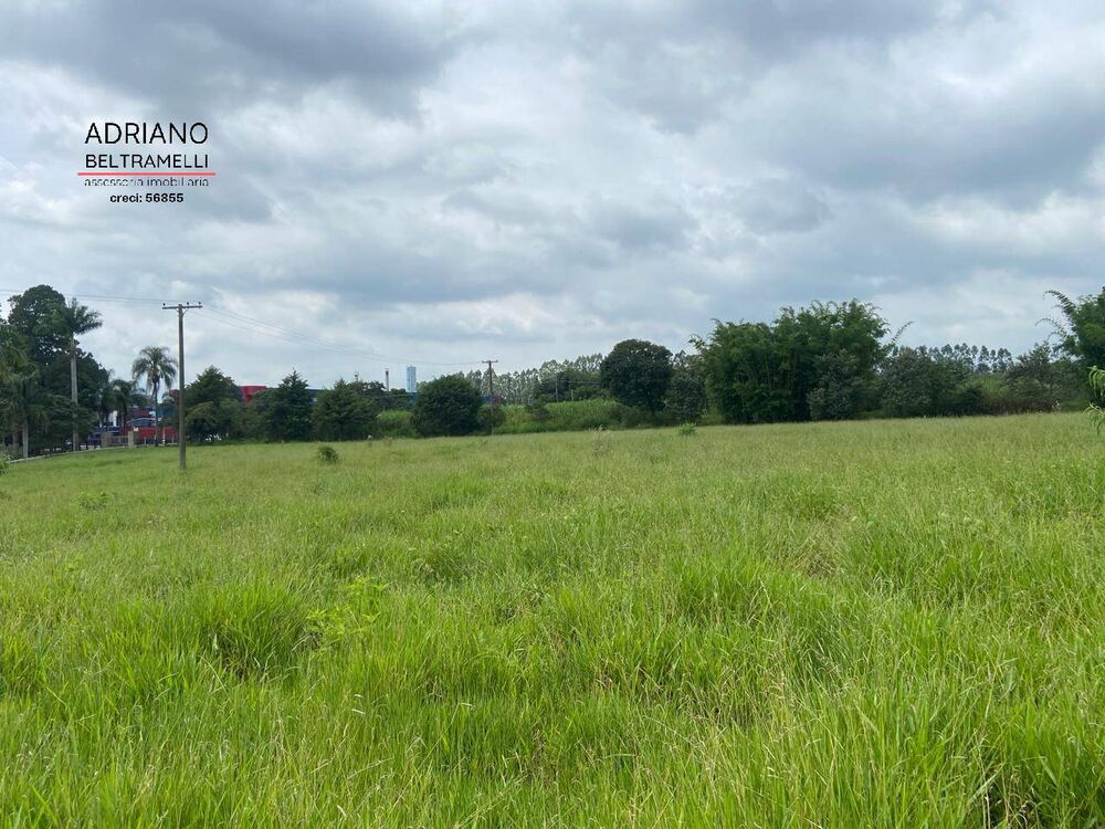 Terreno, 30 hectares - Foto 9