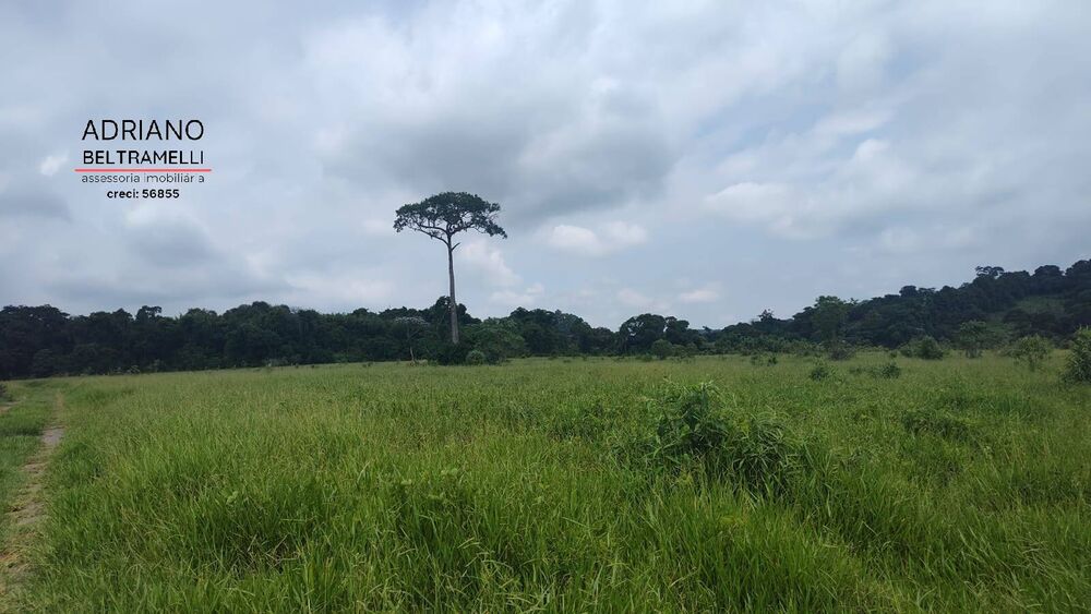 Terreno, 30 hectares - Foto 5