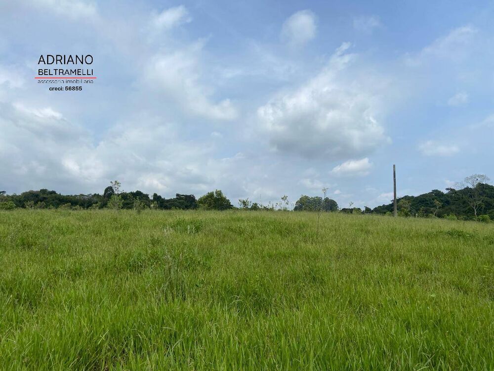 Terreno, 30 hectares - Foto 11