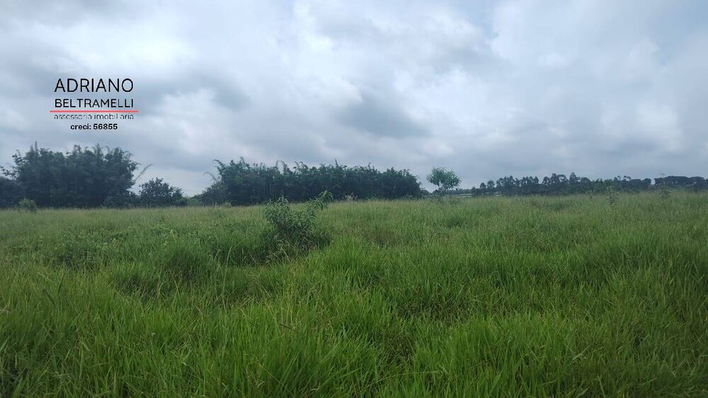 Terreno, 30 hectares - Foto 7