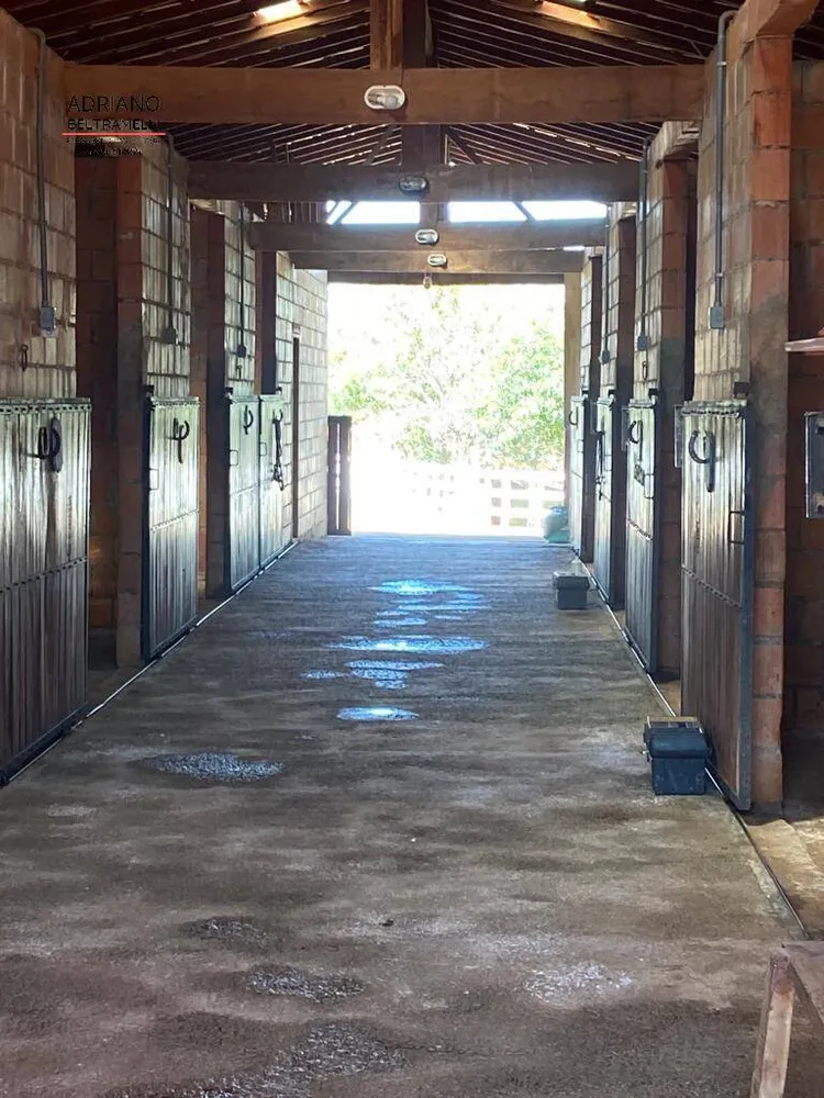 Sítio, 7 quartos, 1000 m² - Foto 5