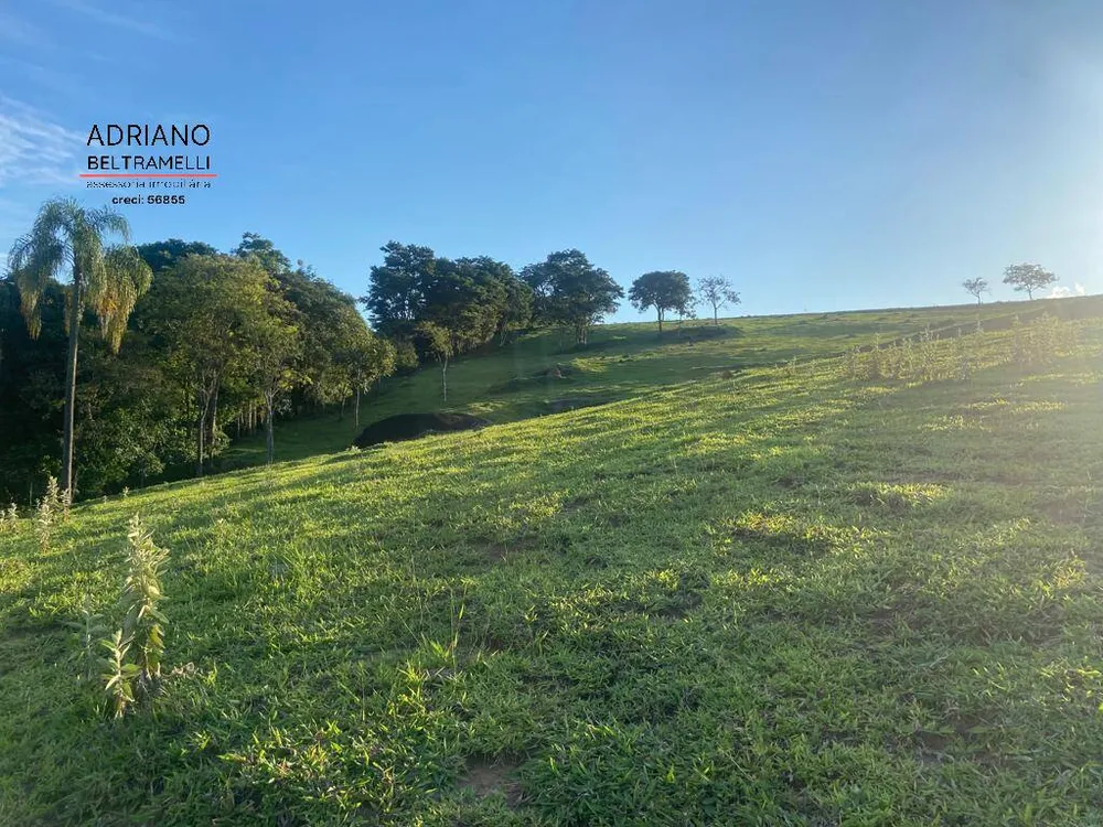 Fazenda, 39 hectares - Foto 25