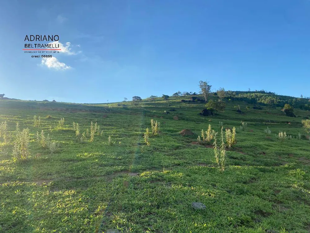 Fazenda, 39 hectares - Foto 21