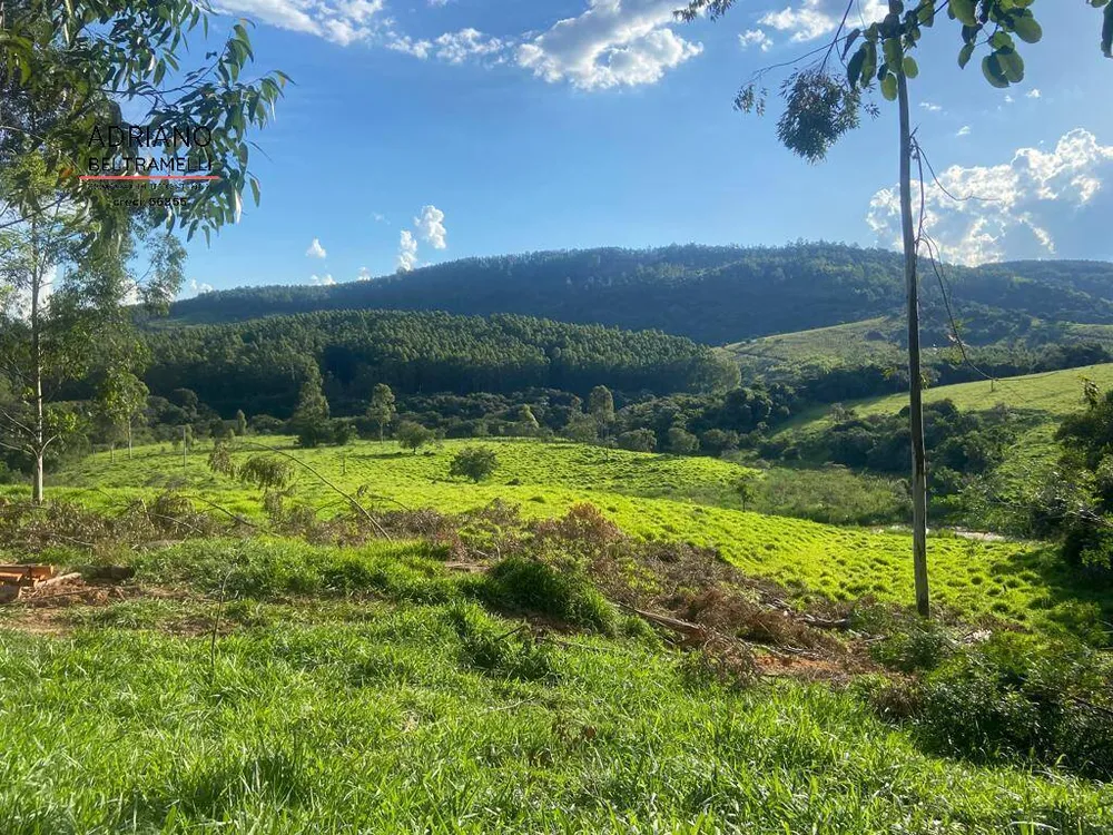 Fazenda, 39 hectares - Foto 24