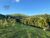 Fazenda-Sítio-Chácara, 39 hectares - Foto 25