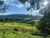 Fazenda-Sítio-Chácara, 39 hectares - Foto 2