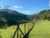 Fazenda-Sítio-Chácara, 39 hectares - Foto 15