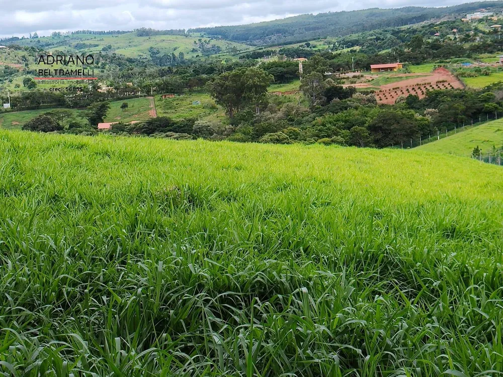 Terreno, 2 hectares - Foto 7