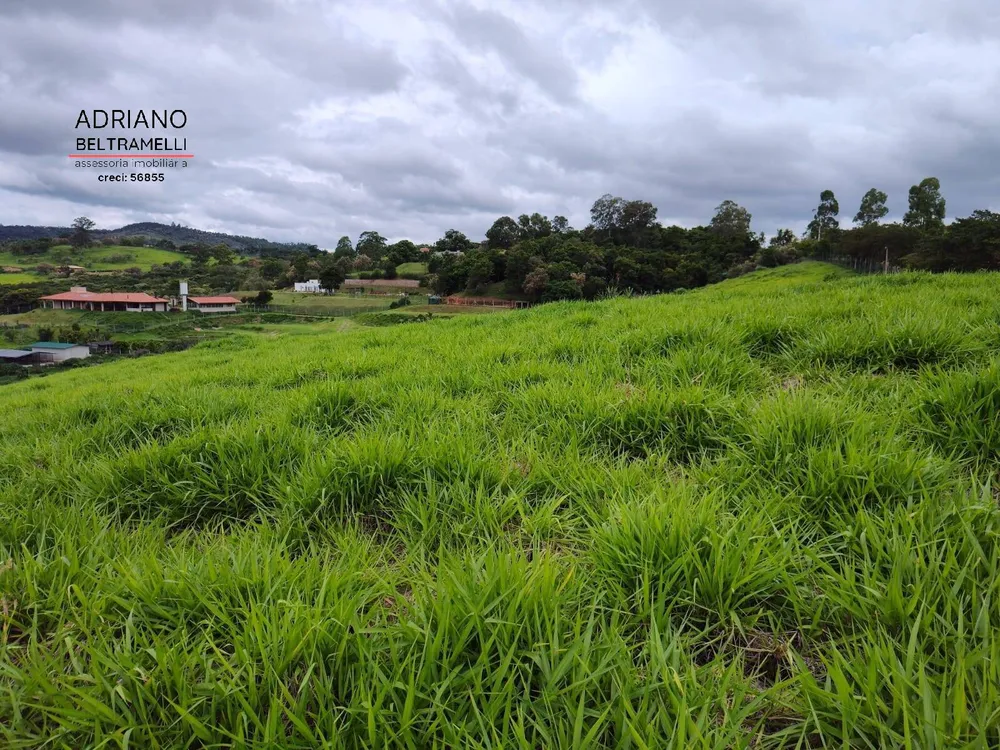 Terreno, 2 hectares - Foto 4