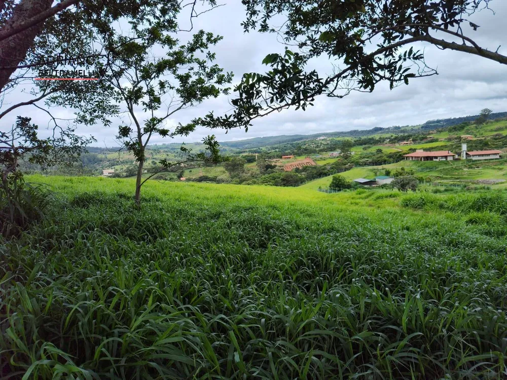 Terreno, 2 hectares - Foto 3