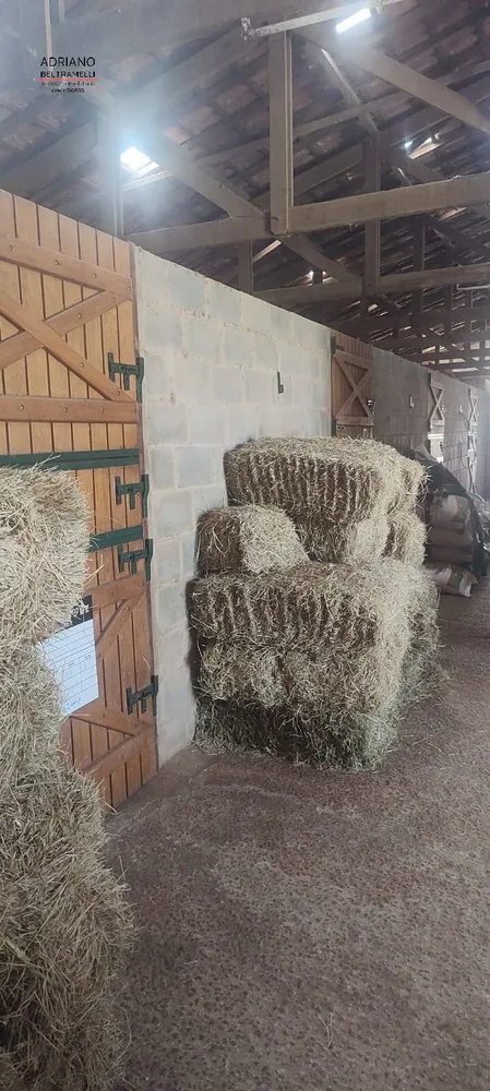 Sítio, 5 quartos, 20 hectares - Foto 14