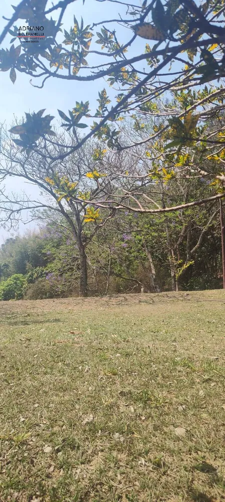 Sítio, 5 quartos, 9 hectares - Foto 11
