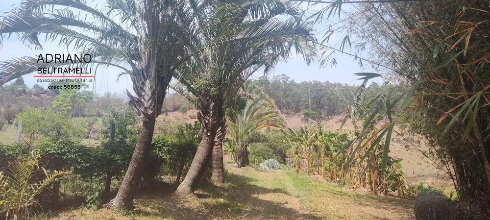 Sítio, 5 quartos, 9 hectares - Foto 15