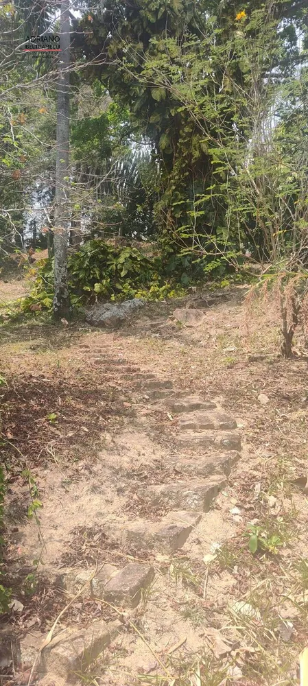 Sítio, 5 quartos, 9 hectares - Foto 12