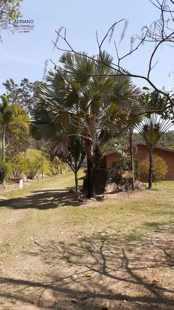 Sítio, 5 quartos, 9 hectares - Foto 4