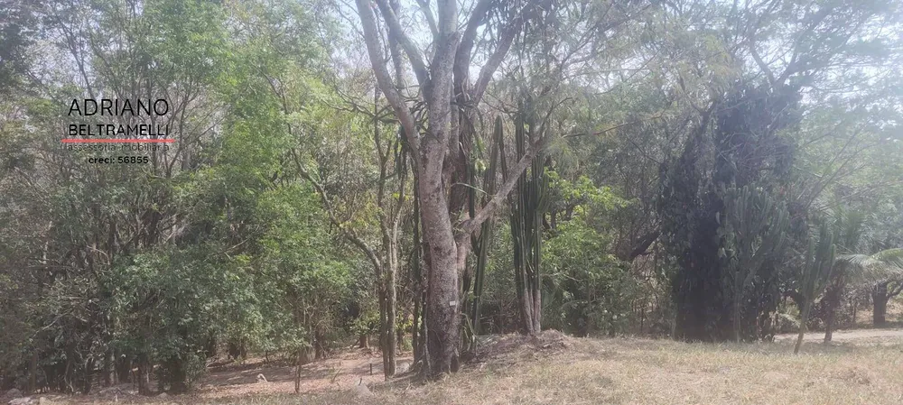 Sítio, 5 quartos, 9 hectares - Foto 20
