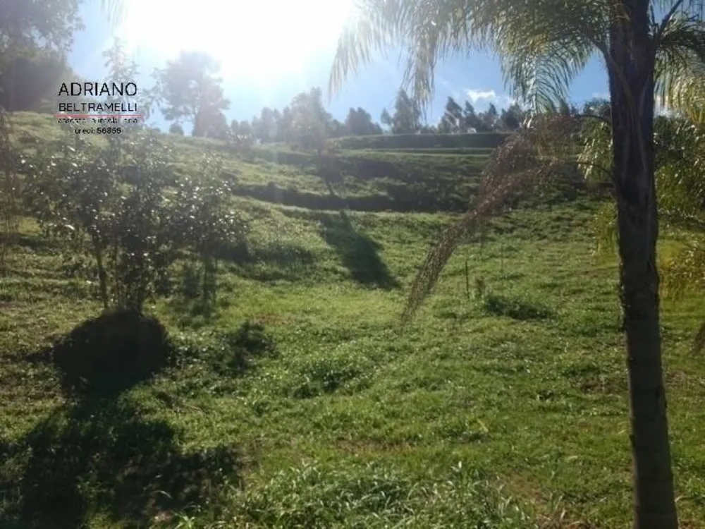 Terreno, 2 hectares - Foto 6