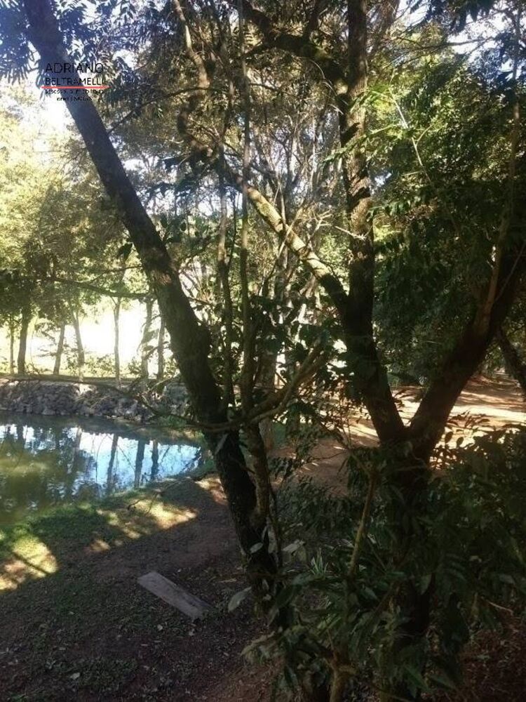 Terreno, 2 hectares - Foto 3