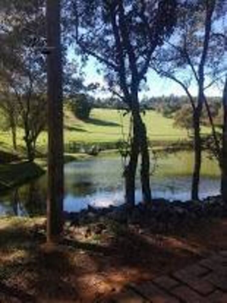 Terreno, 2 hectares - Foto 4