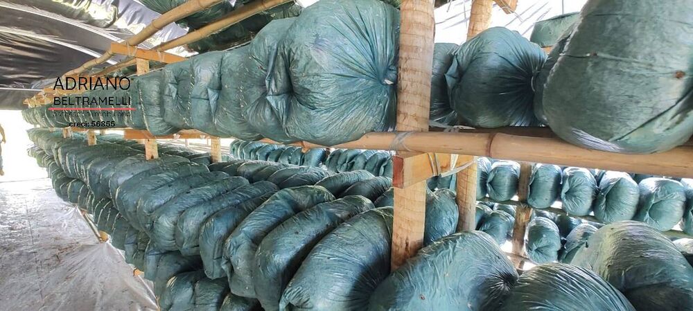 Sítio, 21 quartos, 27 hectares - Foto 7