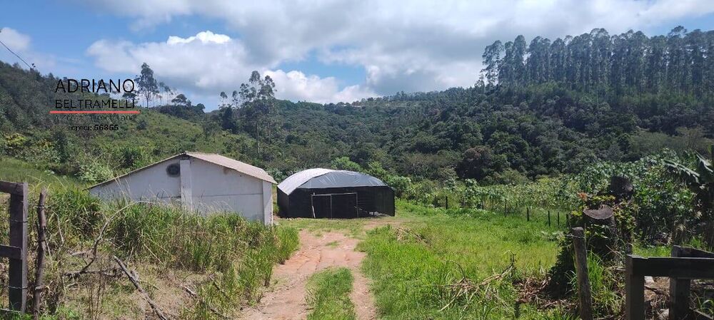 Sítio, 21 quartos, 27 hectares - Foto 11