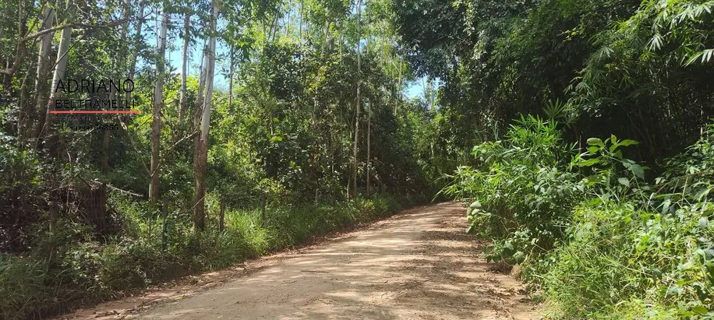 Sítio, 21 quartos, 27 hectares - Foto 7