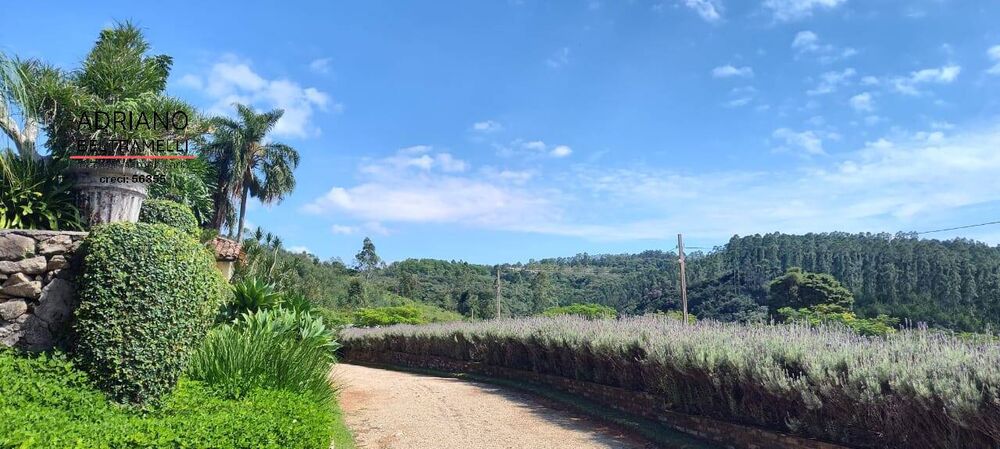 Sítio, 21 quartos, 27 hectares - Foto 2