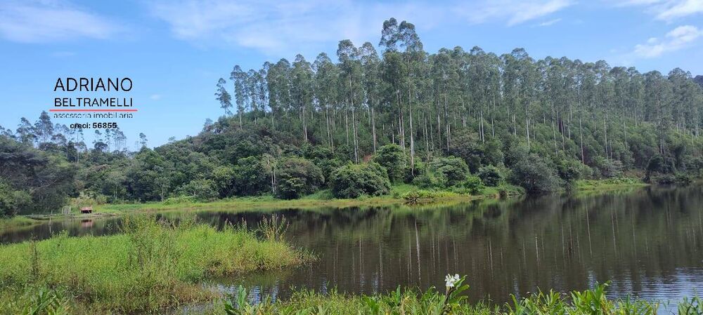 Sítio, 21 quartos, 27 hectares - Foto 30