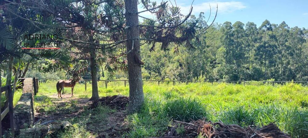 Sítio, 21 quartos, 27 hectares - Foto 24