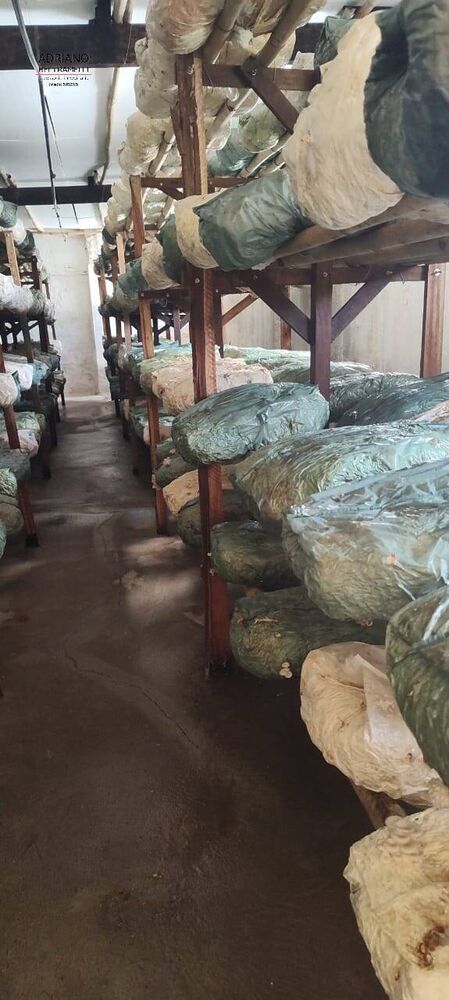 Sítio, 21 quartos, 27 hectares - Foto 5