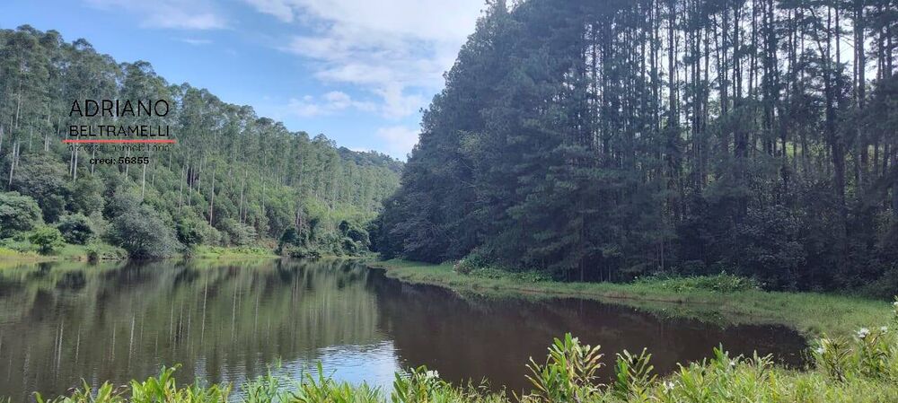 Sítio, 21 quartos, 27 hectares - Foto 3