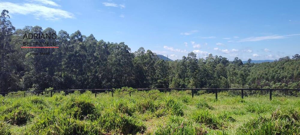 Sítio, 21 quartos, 27 hectares - Foto 26