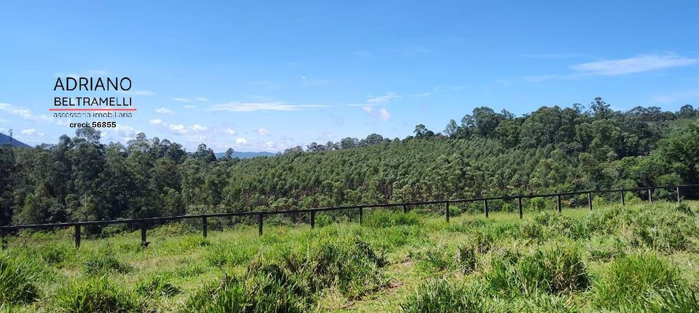 Sítio, 21 quartos, 27 hectares - Foto 25