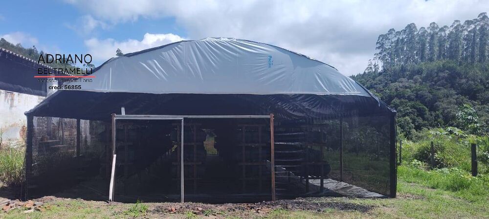 Sítio, 21 quartos, 27 hectares - Foto 10