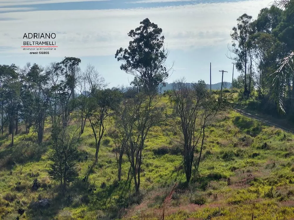 Fazenda à venda com 1 quarto, 20000m² - Foto 3