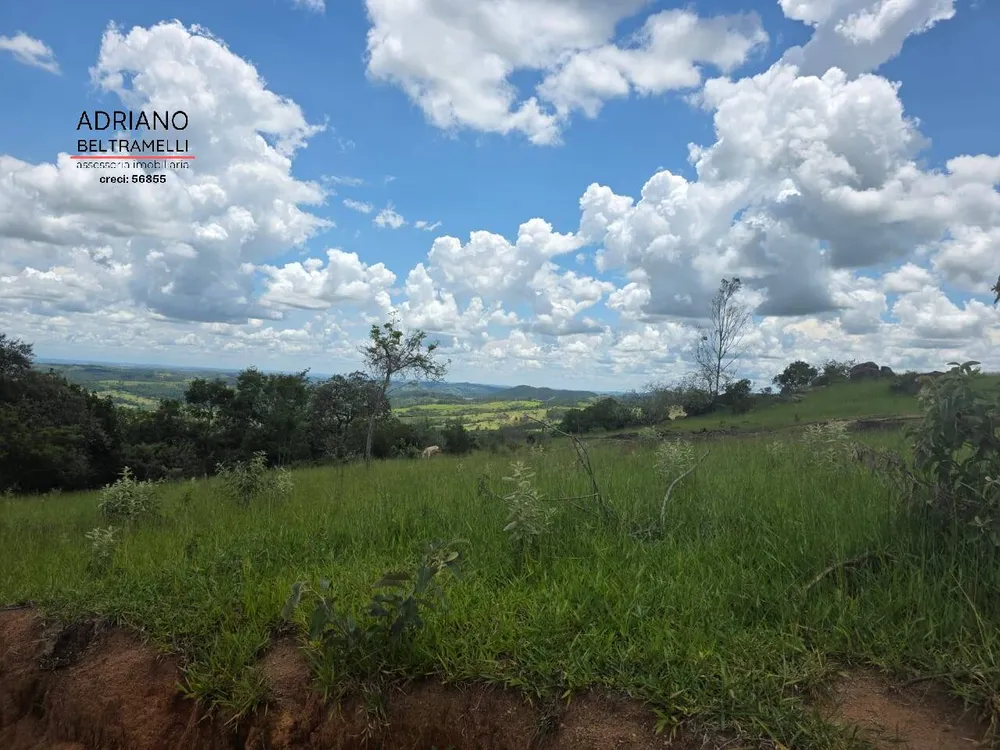 Terreno, 4 hectares - Foto 4