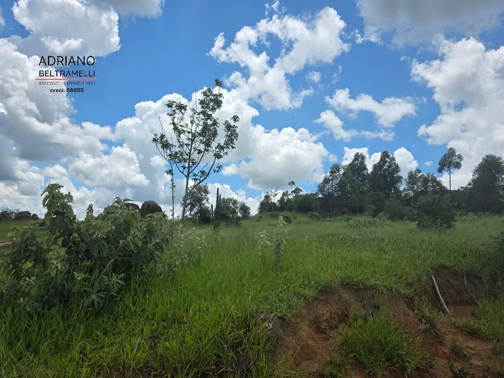 Terreno, 4 hectares - Foto 9