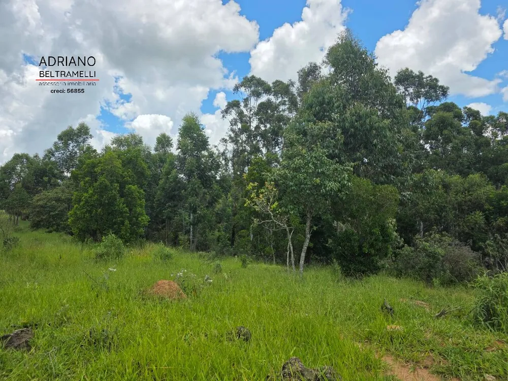 Terreno, 4 hectares - Foto 11