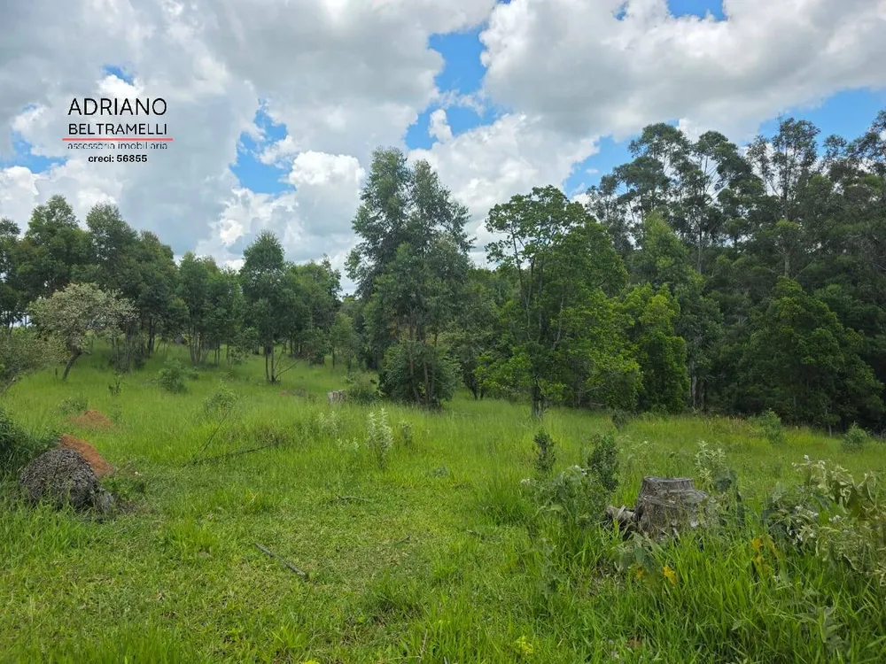 Terreno, 4 hectares - Foto 12