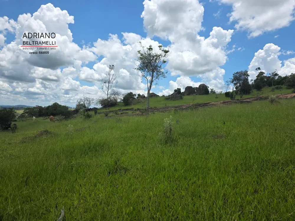 Terreno, 4 hectares - Foto 6