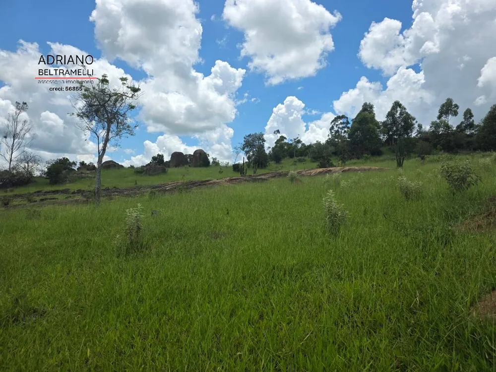 Terreno, 4 hectares - Foto 10