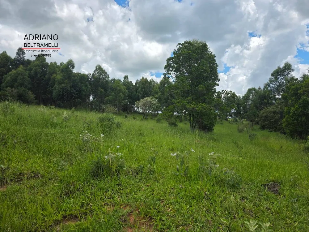 Terreno, 4 hectares - Foto 7