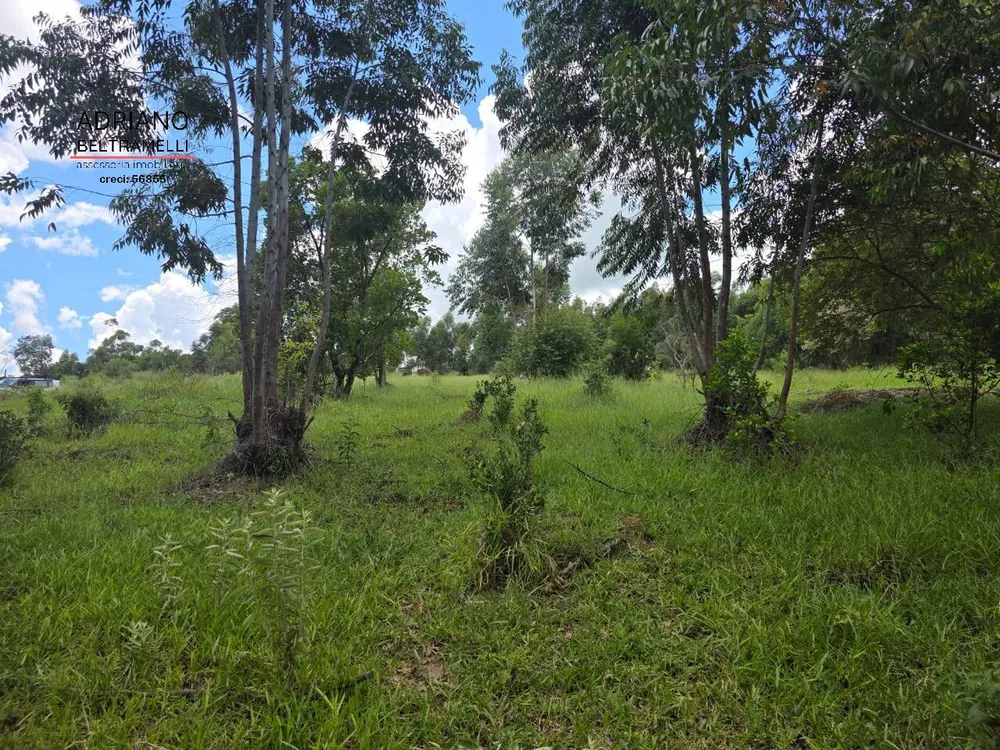 Terreno, 4 hectares - Foto 10