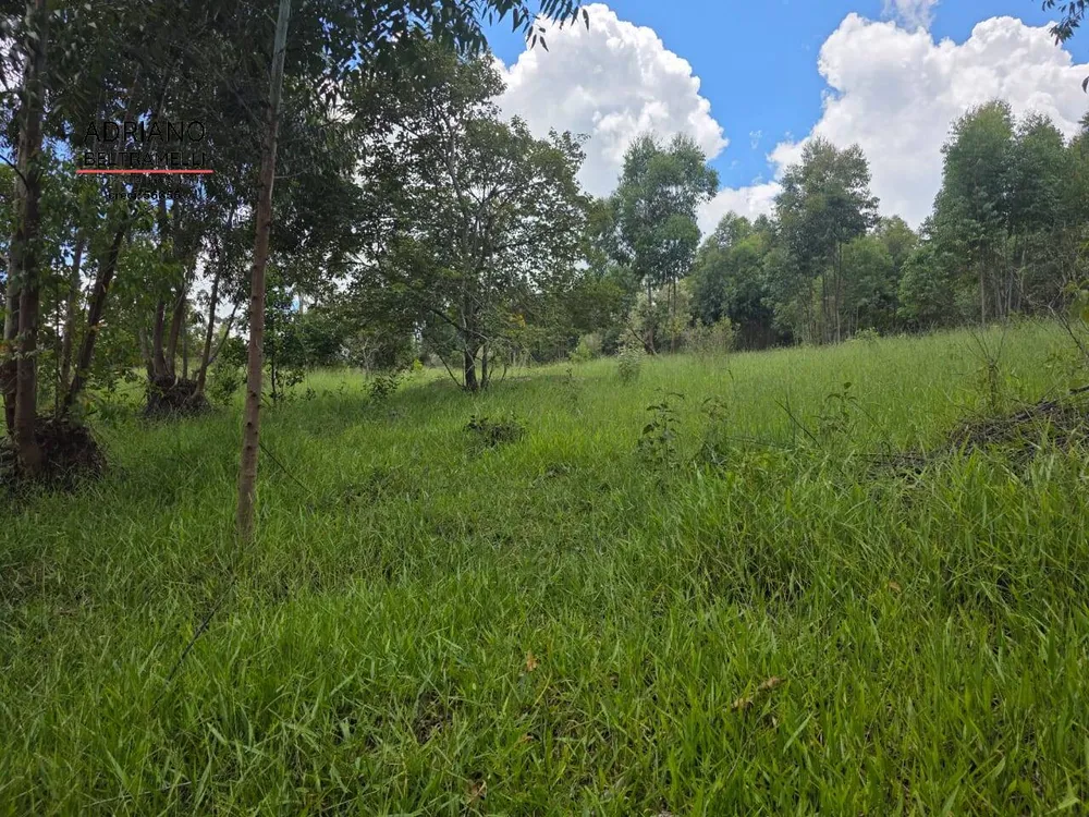 Terreno, 4 hectares - Foto 2