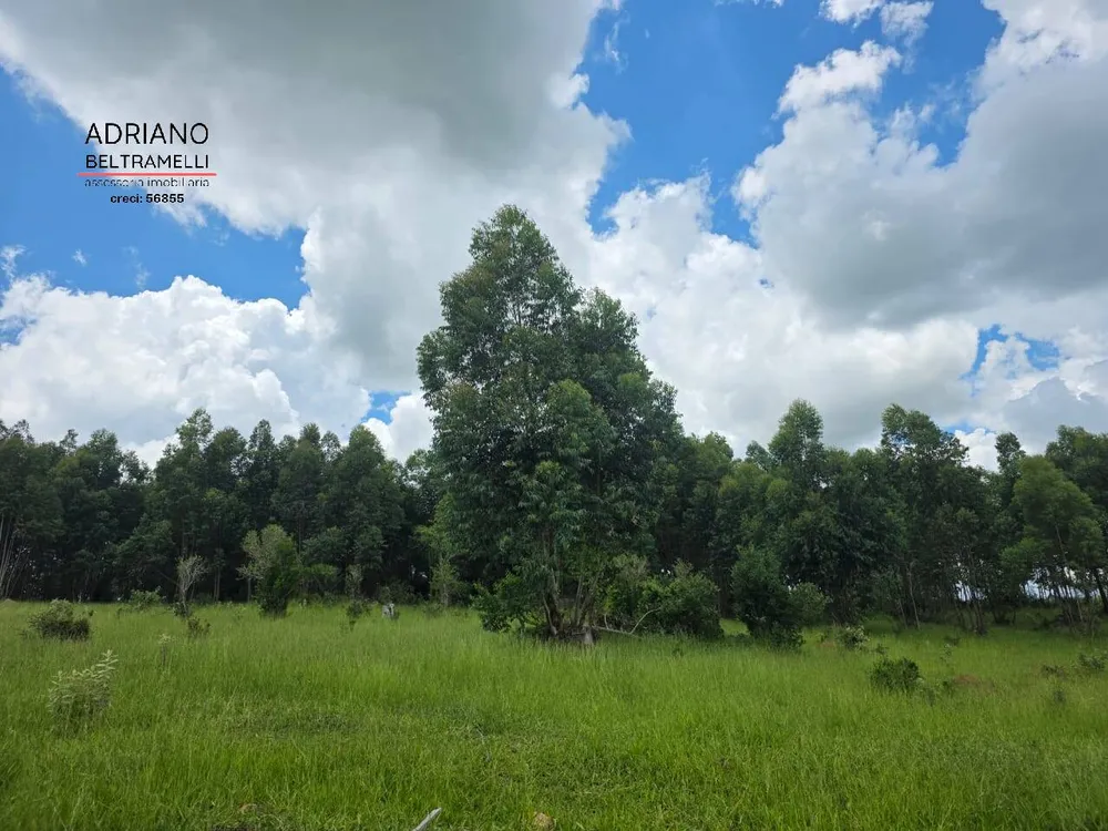 Terreno, 4 hectares - Foto 6